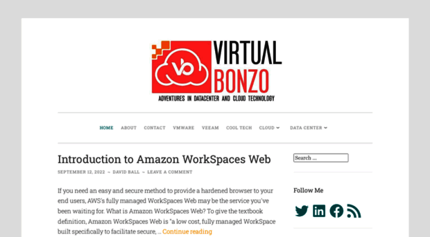 virtualbonzo.com