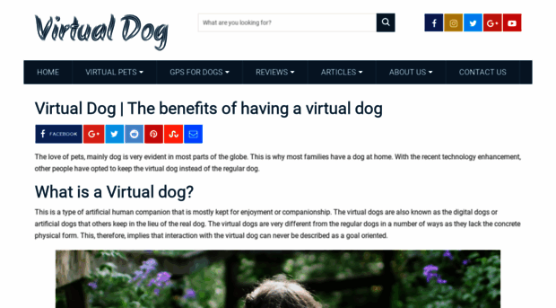 virtualdog.com