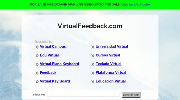 virtualfeedback.com