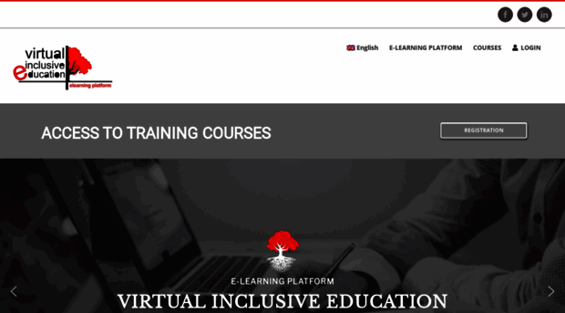 virtualinclusiveeducation.com