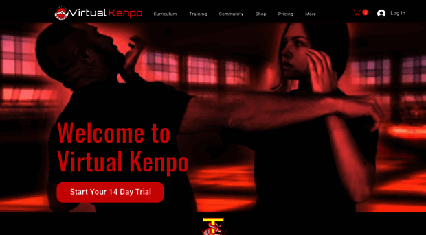 virtualkenpo.com