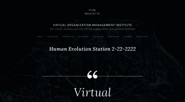 virtualorganizationinstitute.com