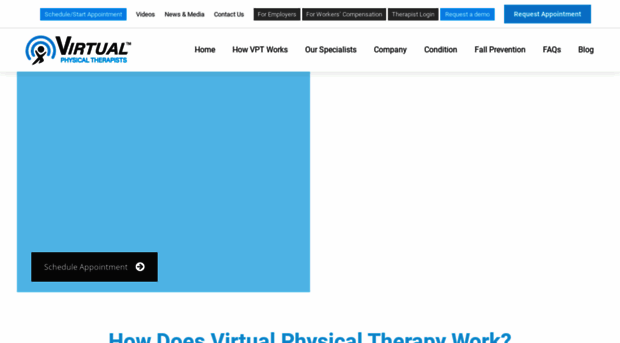virtualphysicaltherapists.com
