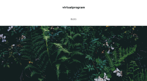 virtualprogram233.weebly.com