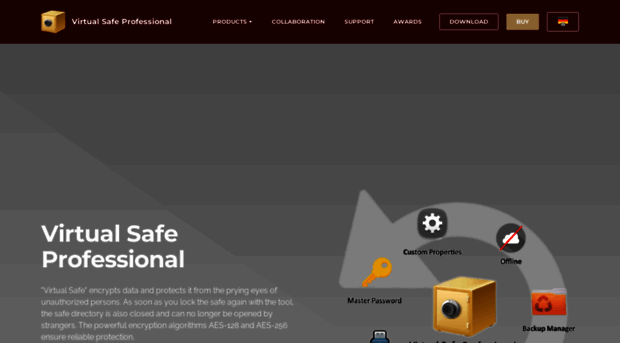 virtualsafepro.com