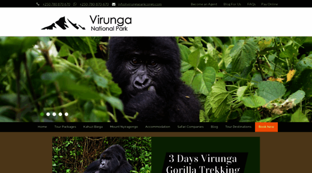 virungaparkcongo.com