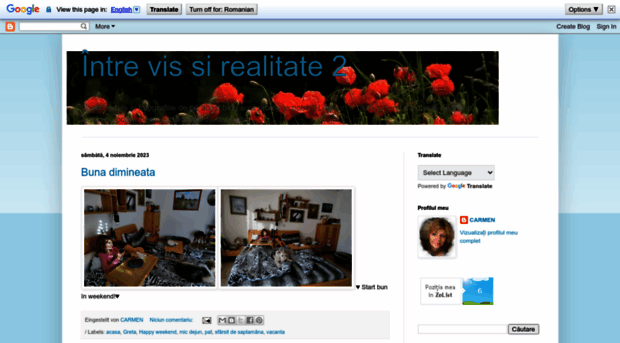 vis-si-realitate-2.blogspot.com