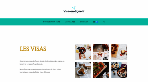 visa-en-ligne.fr