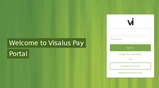 visaluspay.paylution.com