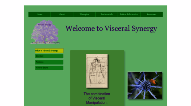 visceralsynergy.com