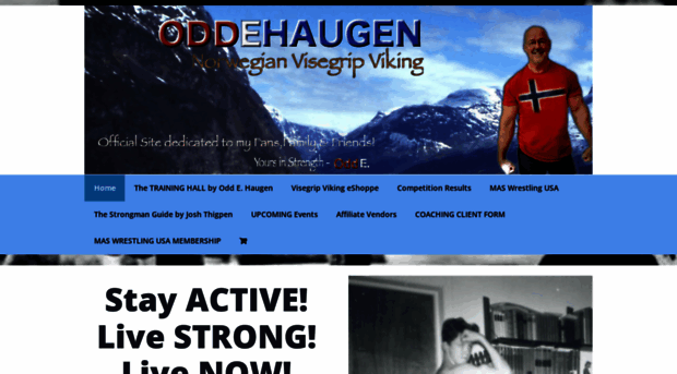 visegripviking.com