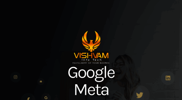 vishvaminfotech.com