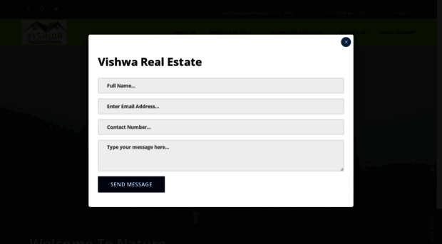 vishwarealestate.com