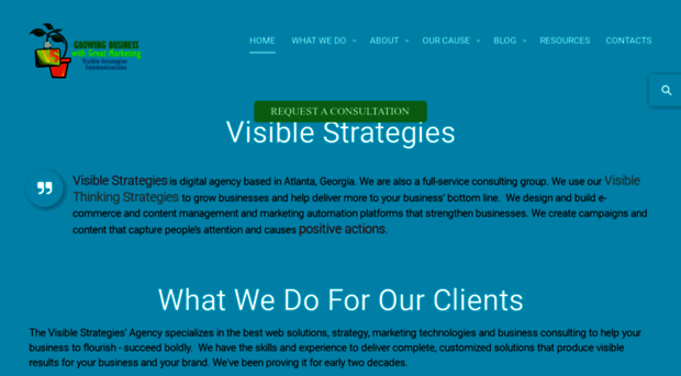 visible-strategies.com