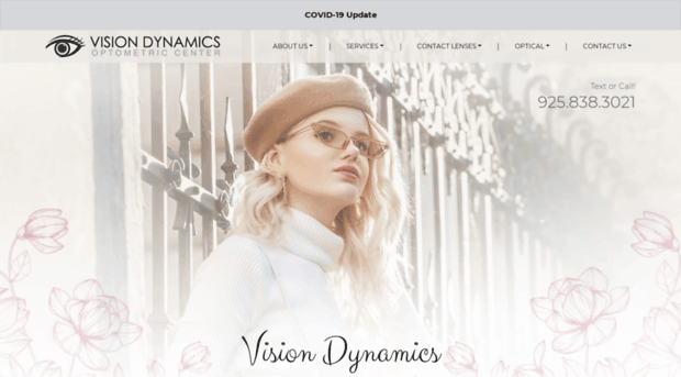 vision-dynamics.com