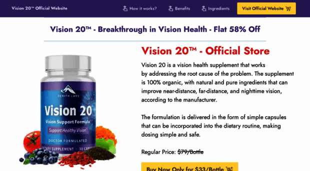 vision-vision20.com