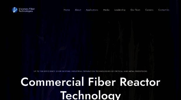 visionaryfiber.com