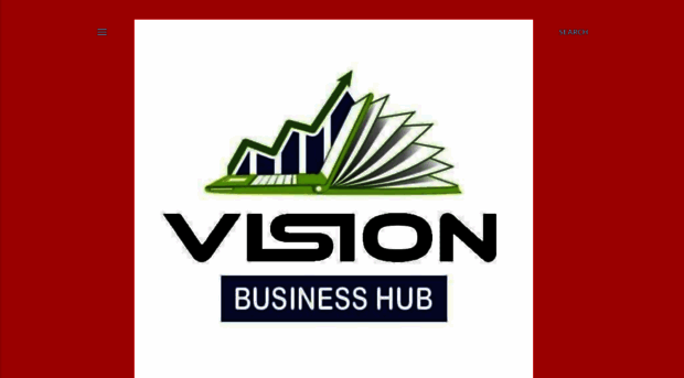 visionbusinesshub.blogspot.com