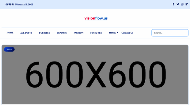 visionflow.us