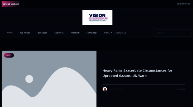 visiongaminghub.com