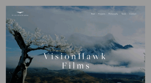 visionhawkfilms.com