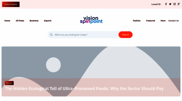 visionspinpoint.com