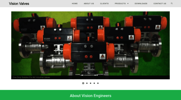 visionvalves.com