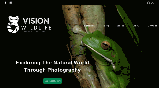 visionwildlife.com