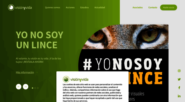 visionyvida.org