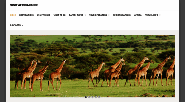 visitafrica.net