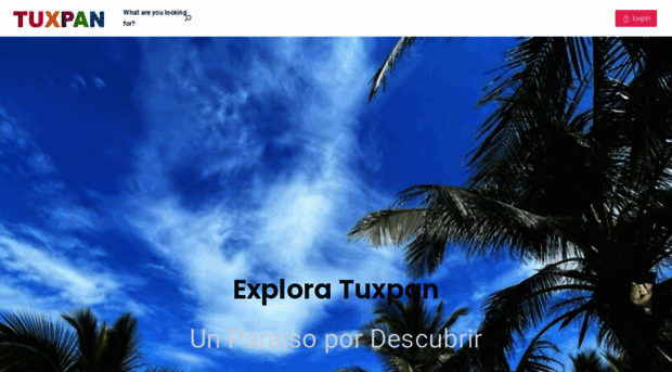 visitatuxpan.com