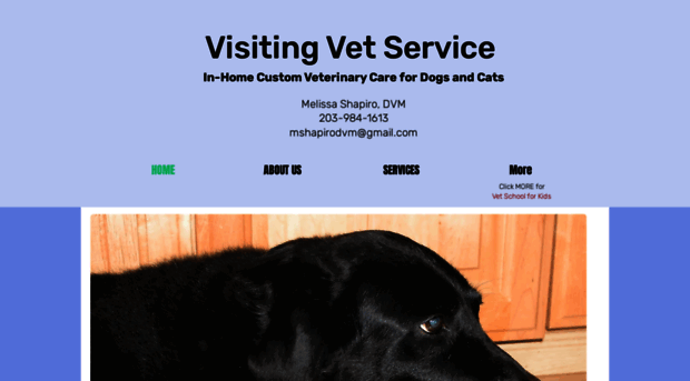 visitingvetservice.com