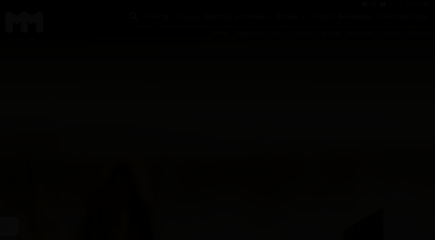 visitmaasmechelen.com