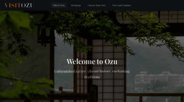 visitozu.com