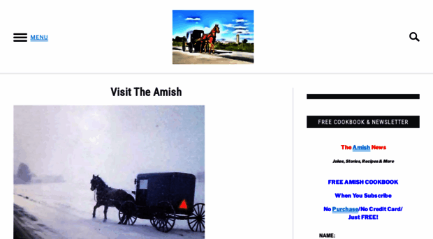 visittheamish.com