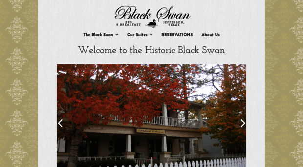 visittheblackswan.com