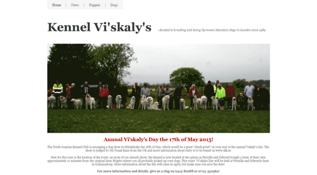 viskalys.com