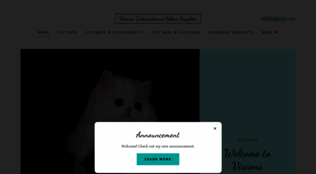 visnintfeline.com