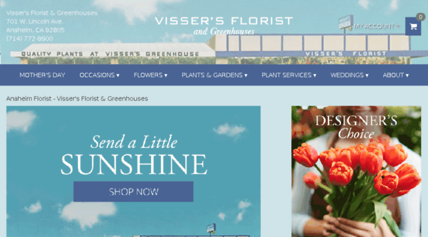 vissersflorist.com