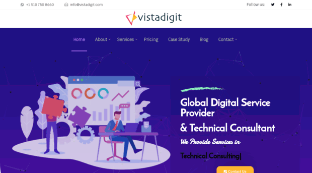 vistadigit.com