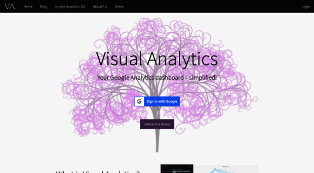 visualanalyticsapp.com