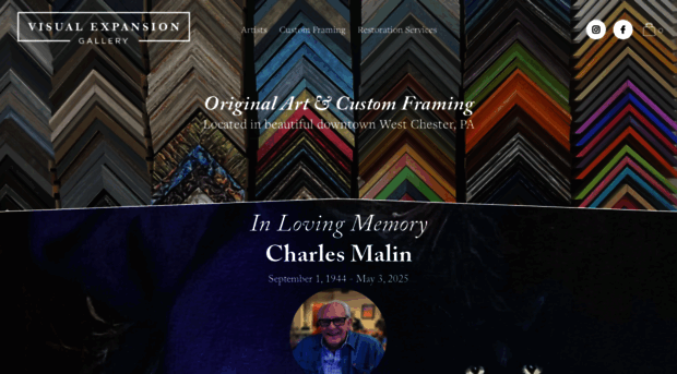 visualexpansiongallery.com