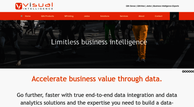 visualintelligence.co.nz