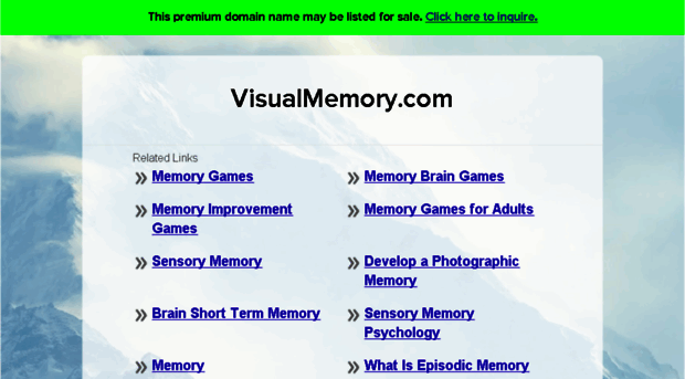 visualmemory.com