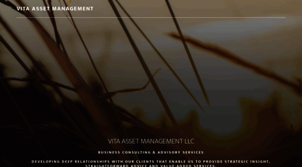 vitaassetmanagement.com