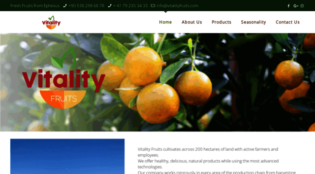 vitalityfruits.com