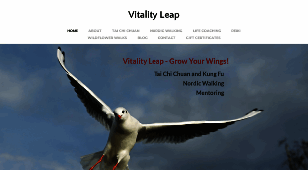 vitalityleap.com