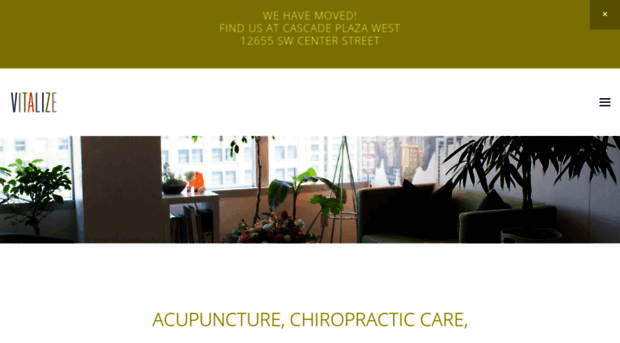 vitalizeacupuncture.com