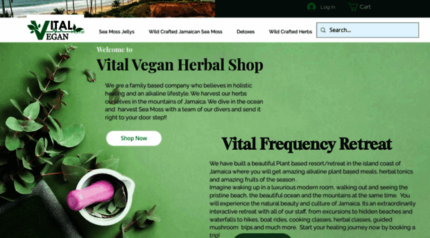 vitalveganinc.com