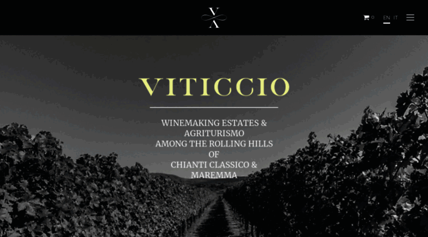 viticcio.com